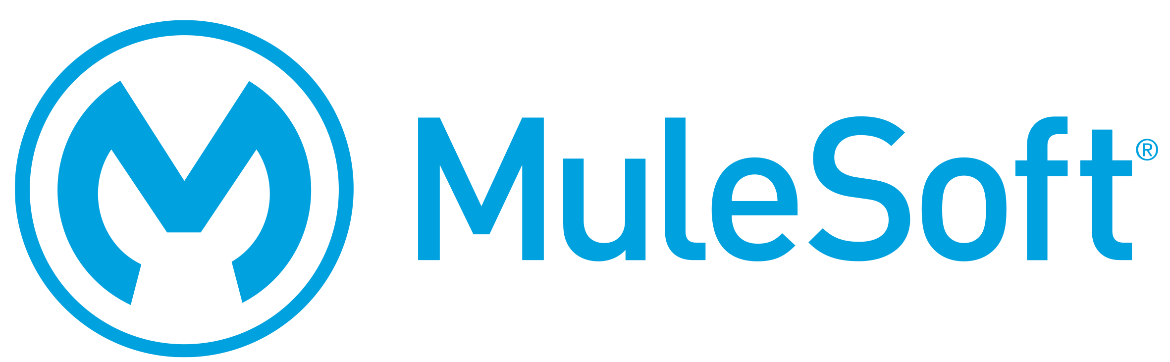MuleSoft API