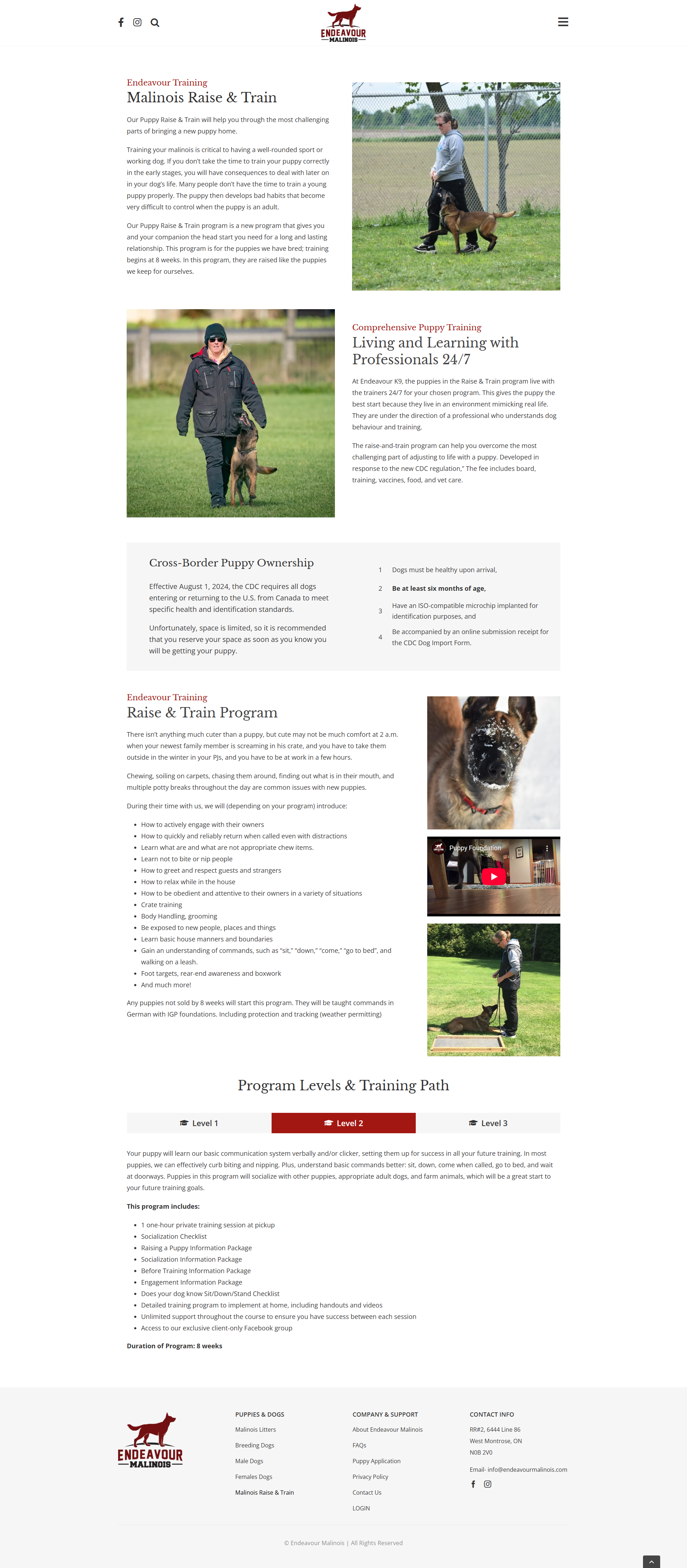Endeavour Malinois